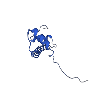 30552_7d20_F_v1-2
Cryo-EM structure of SET8-CENP-A-nucleosome complex