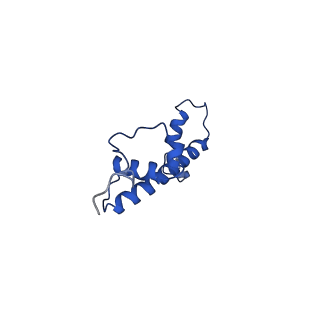 30552_7d20_G_v1-1
Cryo-EM structure of SET8-CENP-A-nucleosome complex