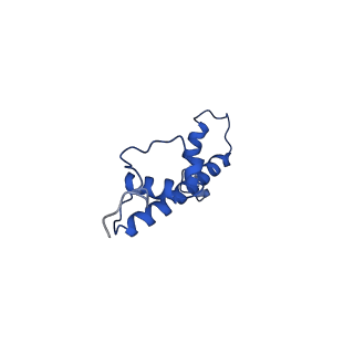 30552_7d20_G_v1-2
Cryo-EM structure of SET8-CENP-A-nucleosome complex