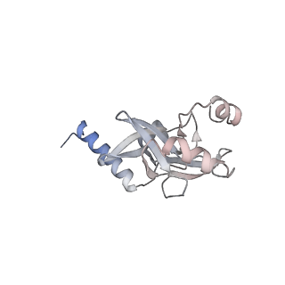 30552_7d20_K_v1-1
Cryo-EM structure of SET8-CENP-A-nucleosome complex