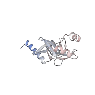 30552_7d20_K_v1-2
Cryo-EM structure of SET8-CENP-A-nucleosome complex