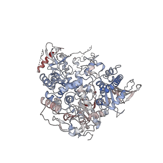27155_8d37_A_v1-2
Human mitochondrial DNA polymerase gamma ternary complex with GT basepair in replication conformer
