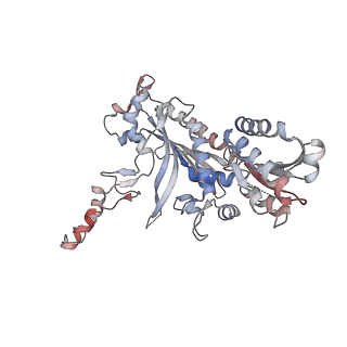 27155_8d37_C_v1-2
Human mitochondrial DNA polymerase gamma ternary complex with GT basepair in replication conformer