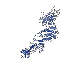 27156_8d3c_A_v1-2
VWF tubule derived from monomeric D1-A1