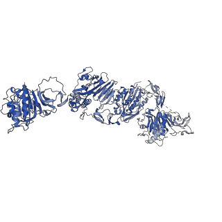 27156_8d3c_B_v1-2
VWF tubule derived from monomeric D1-A1