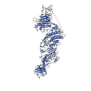 27156_8d3c_C_v1-2
VWF tubule derived from monomeric D1-A1