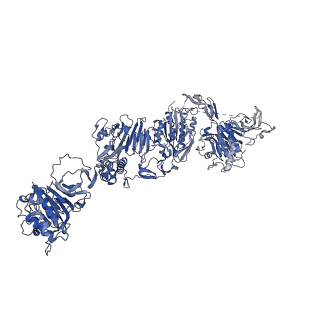 27156_8d3c_D_v1-2
VWF tubule derived from monomeric D1-A1