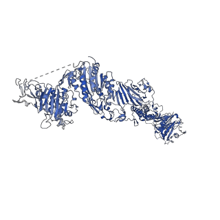 27156_8d3c_E_v1-2
VWF tubule derived from monomeric D1-A1