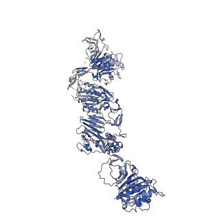 27156_8d3c_F_v1-2
VWF tubule derived from monomeric D1-A1