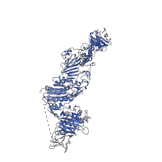 27156_8d3c_G_v1-2
VWF tubule derived from monomeric D1-A1