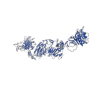 27156_8d3c_H_v1-2
VWF tubule derived from monomeric D1-A1
