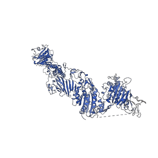 27156_8d3c_I_v1-2
VWF tubule derived from monomeric D1-A1
