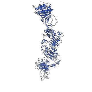 27156_8d3c_J_v1-2
VWF tubule derived from monomeric D1-A1