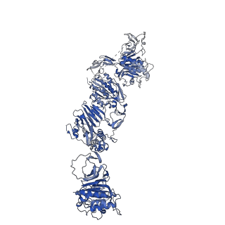 27156_8d3c_L_v1-2
VWF tubule derived from monomeric D1-A1