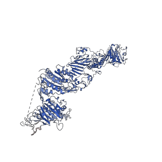 27156_8d3c_M_v1-2
VWF tubule derived from monomeric D1-A1
