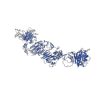 27156_8d3c_N_v1-2
VWF tubule derived from monomeric D1-A1