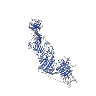 27156_8d3c_O_v1-2
VWF tubule derived from monomeric D1-A1