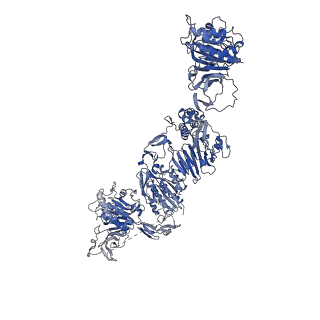 27156_8d3c_P_v1-2
VWF tubule derived from monomeric D1-A1