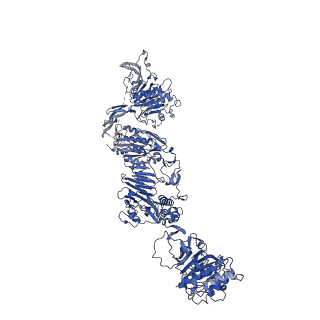 27157_8d3d_F_v1-2
VWF tubule derived from dimeric D1-A1