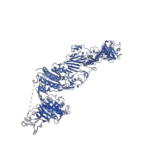 27157_8d3d_M_v1-2
VWF tubule derived from dimeric D1-A1