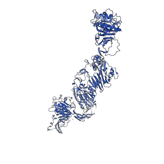 27157_8d3d_P_v1-2
VWF tubule derived from dimeric D1-A1