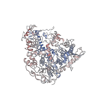 27163_8d3r_A_v1-2
Human mitochondrial DNA polymerase gamma ternary complex with GT basepair in intermediate conformer