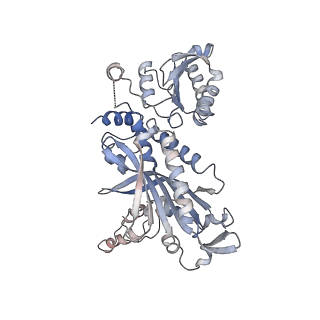 27163_8d3r_B_v1-2
Human mitochondrial DNA polymerase gamma ternary complex with GT basepair in intermediate conformer