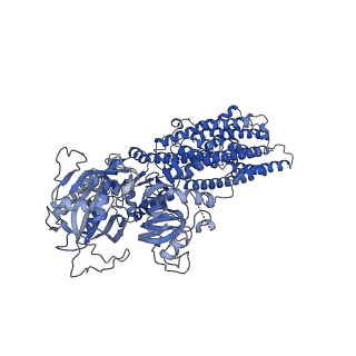 27164_8d3u_A_v1-0
Human alpha3 Na+/K+-ATPase in its Na+-occluded state