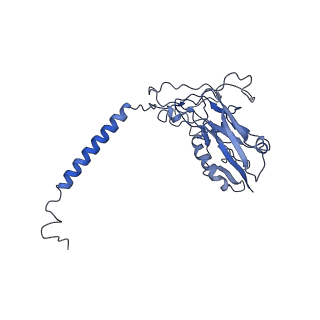 27164_8d3u_B_v1-0
Human alpha3 Na+/K+-ATPase in its Na+-occluded state