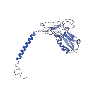 27165_8d3v_B_v1-0
Human alpha3 Na+/K+-ATPase in its cytoplasmic side-open state