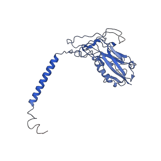 27166_8d3w_B_v1-0
Human alpha3 Na+/K+-ATPase in its AMPPCP-bound cytoplasmic side-open state