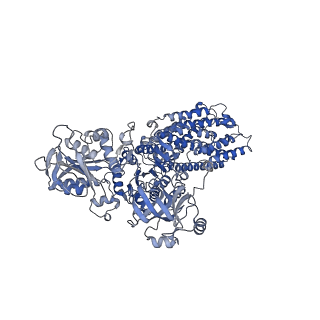 27167_8d3x_A_v1-0
Human alpha3 Na+/K+-ATPase in its K+-occluded state