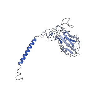 27167_8d3x_B_v1-0
Human alpha3 Na+/K+-ATPase in its K+-occluded state