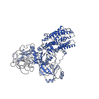 27168_8d3y_A_v1-0
Human alpha3 Na+/K+-ATPase in its exoplasmic side-open state
