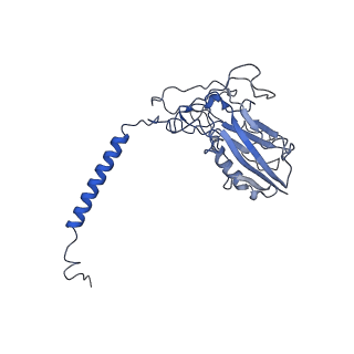 27168_8d3y_B_v1-0
Human alpha3 Na+/K+-ATPase in its exoplasmic side-open state