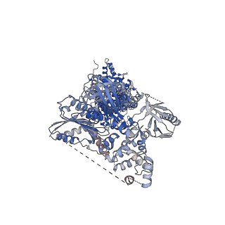 30555_7d3e_A_v1-1
Cryo-EM structure of human DUOX1-DUOXA1 in low-calcium state