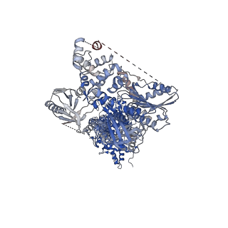 30555_7d3e_C_v1-1
Cryo-EM structure of human DUOX1-DUOXA1 in low-calcium state