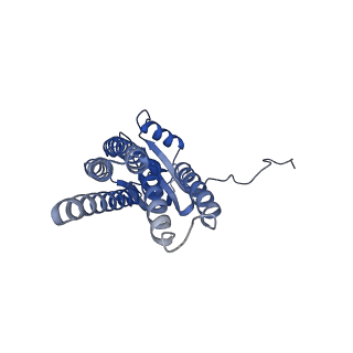 30555_7d3e_D_v1-1
Cryo-EM structure of human DUOX1-DUOXA1 in low-calcium state