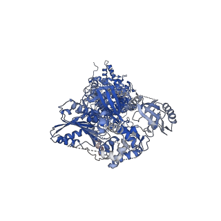 30556_7d3f_A_v1-1
Cryo-EM structure of human DUOX1-DUOXA1 in high-calcium state