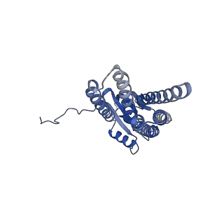 30556_7d3f_B_v1-1
Cryo-EM structure of human DUOX1-DUOXA1 in high-calcium state