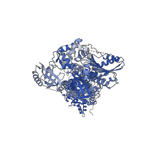 30556_7d3f_C_v1-1
Cryo-EM structure of human DUOX1-DUOXA1 in high-calcium state