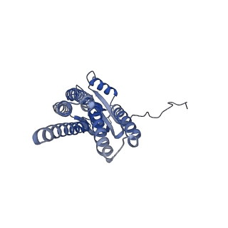 30556_7d3f_D_v1-1
Cryo-EM structure of human DUOX1-DUOXA1 in high-calcium state