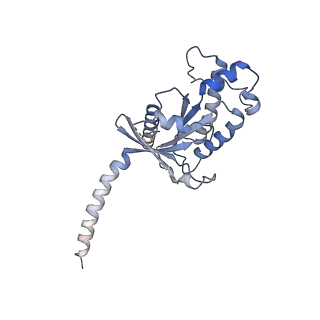 30566_7d3s_A_v1-1
Human SECR in complex with an engineered Gs heterotrimer