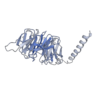 30566_7d3s_B_v1-1
Human SECR in complex with an engineered Gs heterotrimer