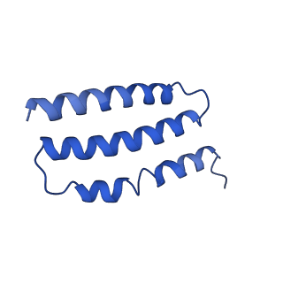 30567_7d3u_F_v1-2
Structure of Mrp complex from Dietzia sp. DQ12-45-1b