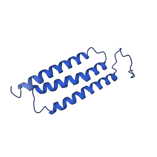 30567_7d3u_G_v1-2
Structure of Mrp complex from Dietzia sp. DQ12-45-1b