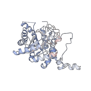 27175_8d45_B_v1-0
Cryo-EM structure of human Kidney Betaine-Homocysteine Methyltransferase