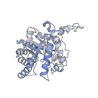 27175_8d45_C_v1-0
Cryo-EM structure of human Kidney Betaine-Homocysteine Methyltransferase
