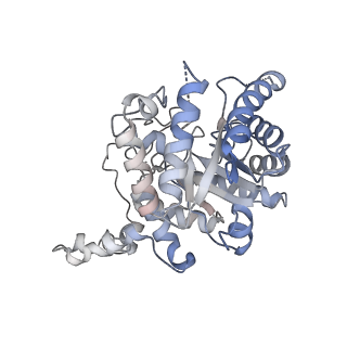 27175_8d45_D_v1-0
Cryo-EM structure of human Kidney Betaine-Homocysteine Methyltransferase