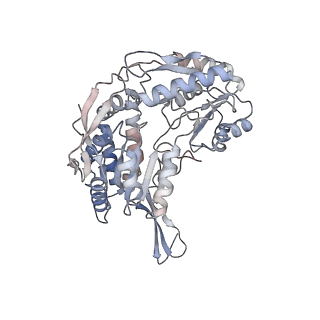 27176_8d46_A_v1-0
Cryo-electron microscopy structure of human kidney Aldehyde Dehydrogenase 1A1